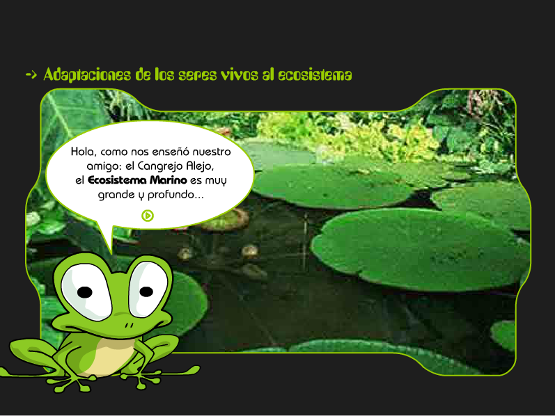 RECURSOS