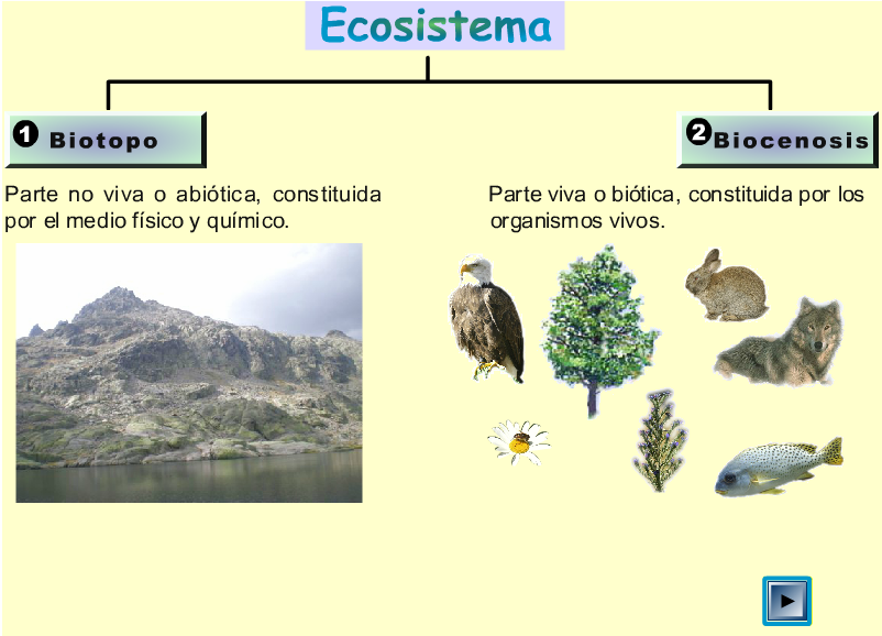 RECURSOS