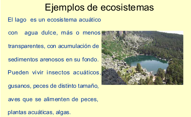 RECURSOS