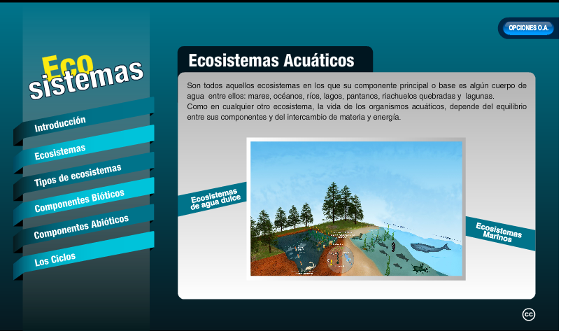 RECURSOS