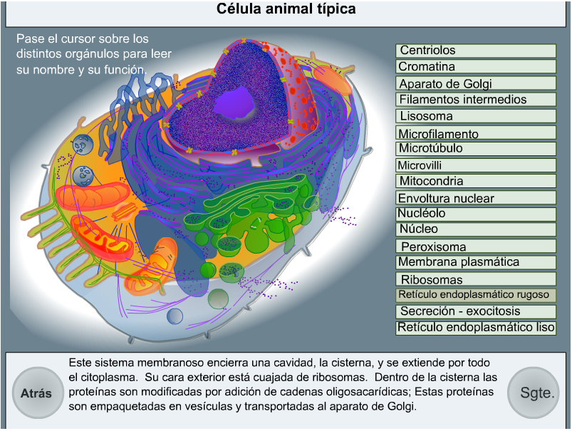 RECURSOS