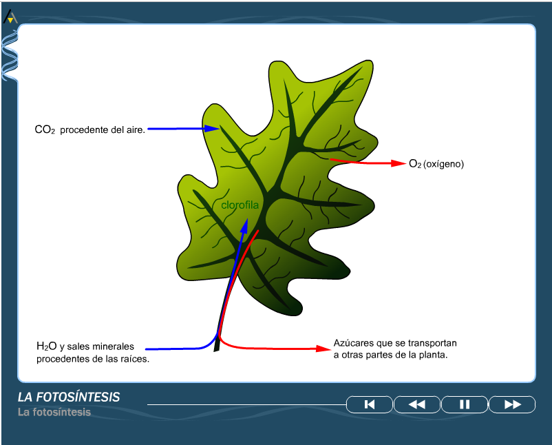 RECURSOS