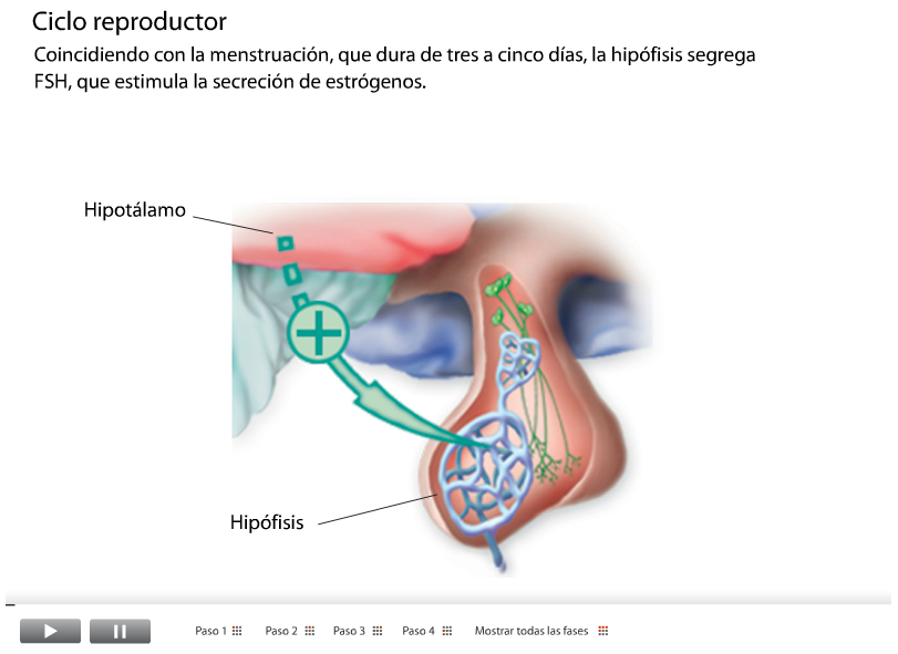 RECURSOS