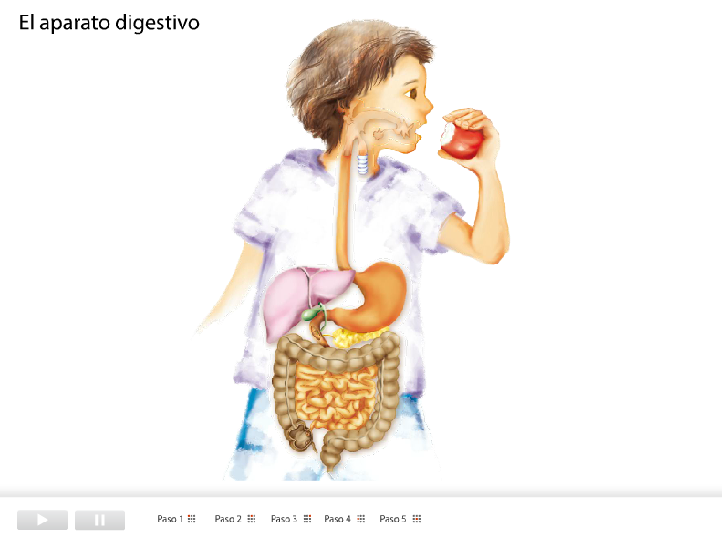 RECURSOS