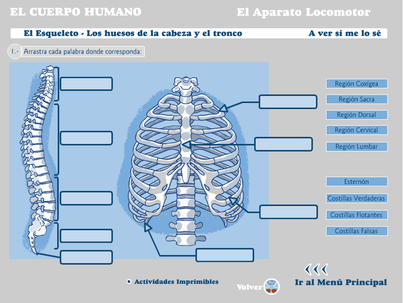 RECURSOS
