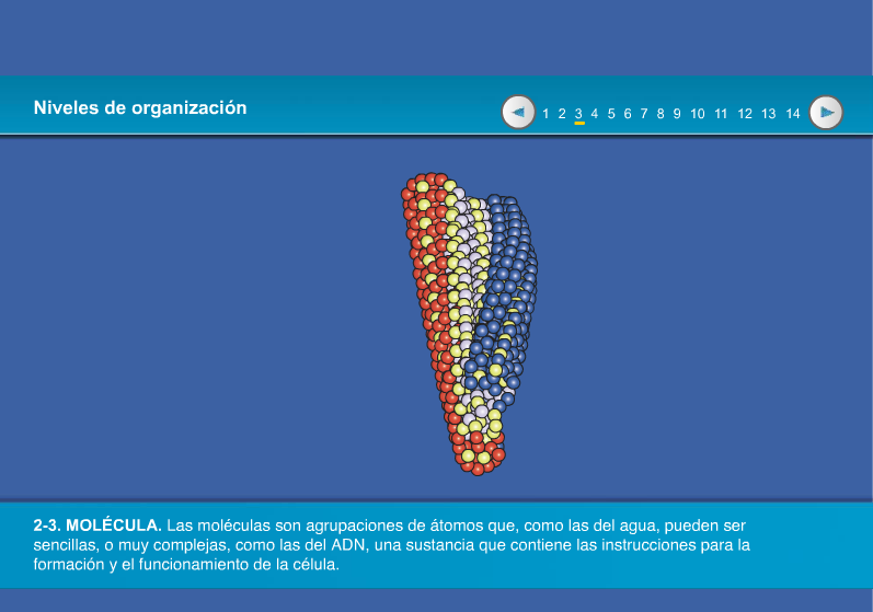 RECURSOS
