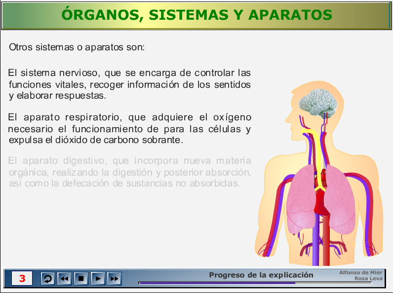 RECURSOS