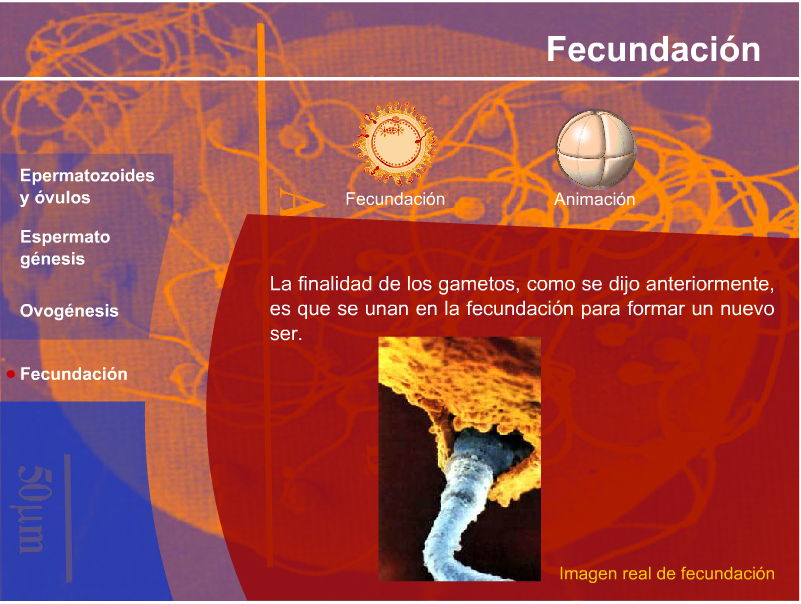 RECURSOS