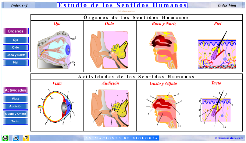 RECURSOS