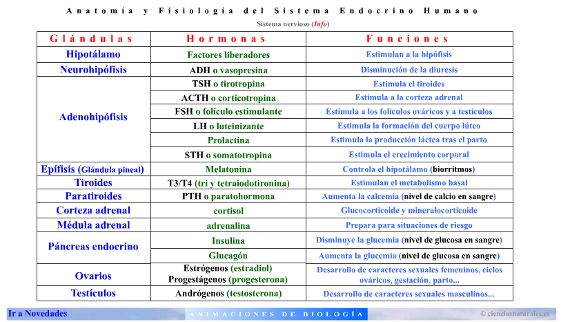 RECURSOS
